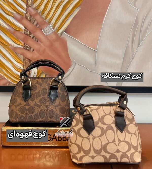 photo-output_7 دوشی دستی متوسط نیمگرد مولان